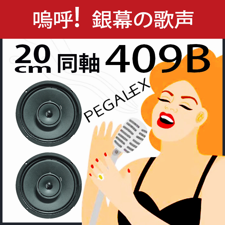 音工房Z Z700-FE108Eシグマ想定バックロードホーンスピーカーキット品 