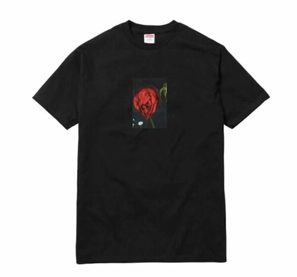 【希少】Supreme 16FW Araki Rose Tee