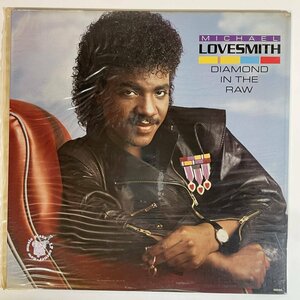 19353【US盤★美盤】 Michael Lovesmith Diamond In The Raw