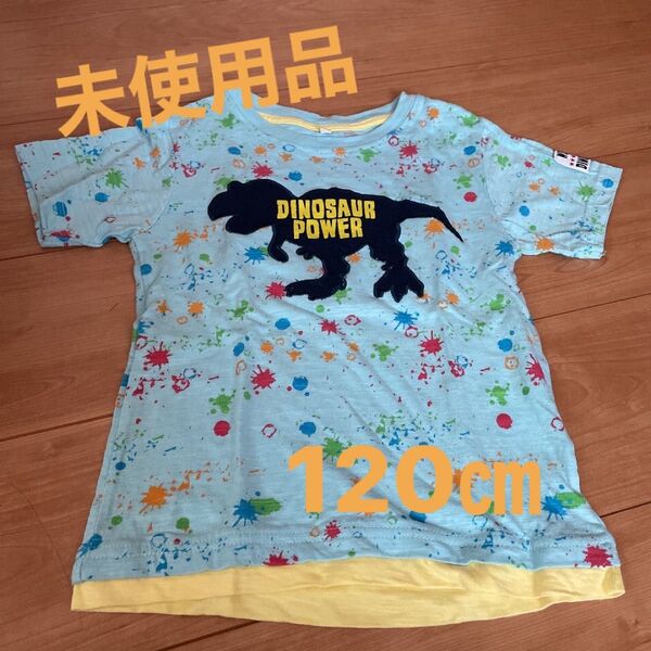 半袖Tシャツ