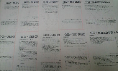 サピックス SAPIX*6年 小6*冬期講習 正月特訓*算数/桜蔭 対策プリント*全10回 完全版*2023年 受験*貴重
