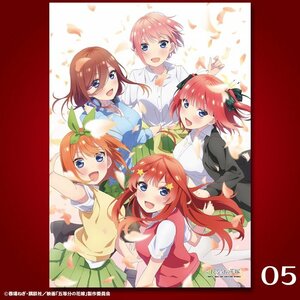 【新品】五等分の花嫁　桜 集合①　イラストフィルム　三玖　二乃　一花　Ａ５サイズ　中村路之将　春場ねぎ　No.05【未開封・正規品】