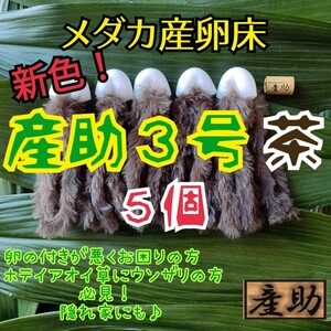 新商品！メダカ産卵床10㎝★産助(さんすけ)３号茶５★ ※組立不要！金魚にも