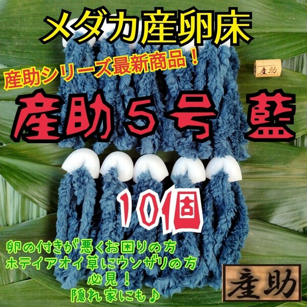 メダカ産卵床 10㎝ ★産助(さんすけ)５号藍【あい】10★ ※組立不要！金魚にも