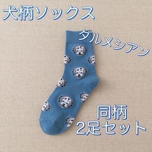 ダルメシアン・ソックス 靴下 可愛い 同柄2足組 クルーソックス 犬 動物