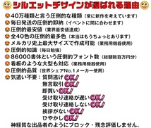 最安値★最大積載量 パロディステッカー16～20ｃｍ＠オリジナル作製も可能です_画像3