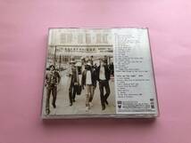 リバティーンズ革命　ファイナル・エディション　　THE　LIBERTINES　DVD、歌詞カード付き_画像2