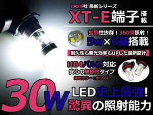 LEDフォグランプ アイシス ANM/ZNM1#系 LEDバルブ ホワイト 6000K相当 9006 HB4 CREE製 30W 2個セット 交換用