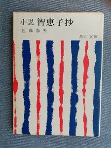 小説 智恵子抄 （角川文庫） 佐藤春夫／〔著〕