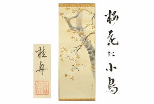Art hand Auction [गैला फ़ूजी] मुफ़्त शिपिंग/नागे केशु/चेरी के फूल और एक छोटा पक्षी/186 सेमी/सी-90 (निरीक्षण) प्राचीन/लटकता हुआ स्क्रॉल/पेंटिंग/जापानी पेंटिंग/उकियो-ई/सुलेख/चाय लटकाना/प्राचीन/स्याही पेंटिंग, कलाकृति, किताब, लटकता हुआ स्क्रॉल