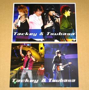  Tackey & крыло не продается открытка 2 вида комплект Takizawa Hideaki Imai Tsubasa 