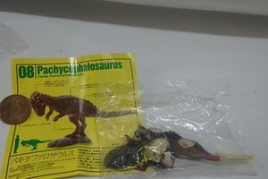 ★P569☆恐竜模型図鑑　08・パキケファロサウルス☆海洋堂CCザウルス　ミニチュア　ドールハウス