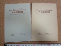 b△　人体組織図譜　著:Mariano S. H. Di Fiore　訳:藤田恒夫・武藤正樹・栗原幸二　1978年第1版第2刷　南江堂　/b3_画像1