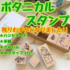 【C】ボタニカルプラント ヴィンテージスタンプ 12個入り 木製スタンプ 植物 スタンプ はんこ 可愛い 送料無料 新品 未使用