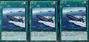 遊戯王 ノーマル 魔法 3枚セット 浮上 DP15