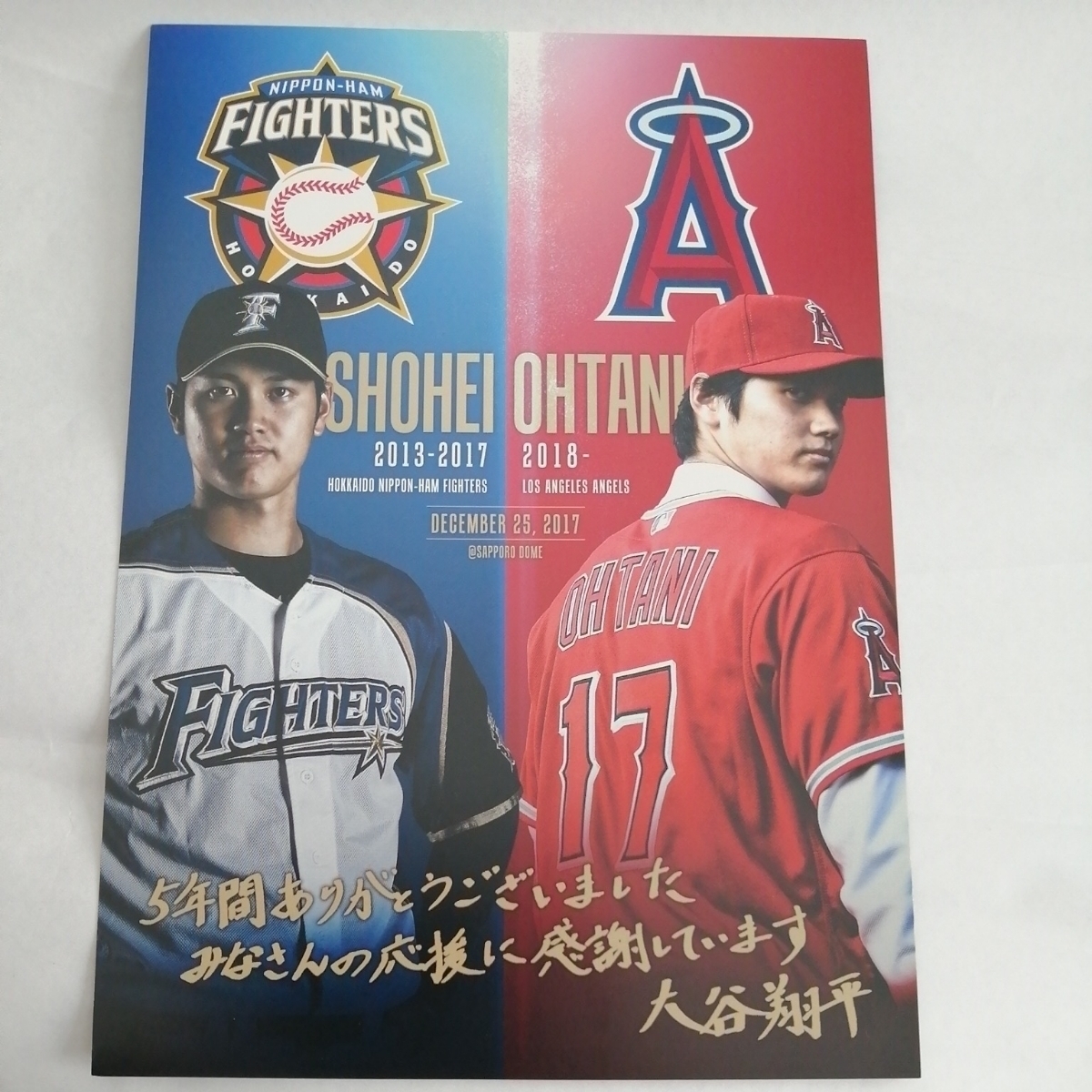 ポケットいっぱい 【大谷翔平】北海道日本ハムファイターズ 2014年