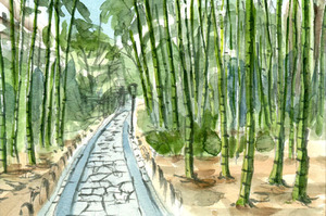 Art hand Auction No. 8305 Camino del bosque de bambú/Shuzenji, Ciudad de Izu, Prefectura de Shizuoka /Pintura de Chihiro Tanaka (acuarela de cuatro estaciones)/Regalo incluido, cuadro, acuarela, Naturaleza, Pintura de paisaje