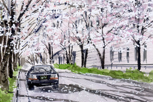 Art hand Auction No. 8323 Edo Sakura Street / Peint par Chihiro Tanaka (aquarelle quatre saisons) / Livré avec un cadeau, peinture, aquarelle, Nature, Peinture de paysage