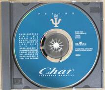 Char/チャー＜＜PSYCHE BEST FLASHBACK MEMORIES＞＞　帯付き 国内盤 　　　　_画像5