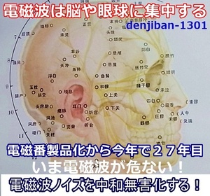 5Ｇ電磁波対策グッズ 過敏症-不眠ストレス 有害電磁波無害化中和「電磁番AZ」6点セット・送料無料