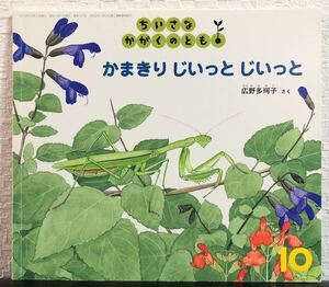 「かまきりじいっとじいっと」ちいさな　かがくのとも　広野多可子　福音館　2012年