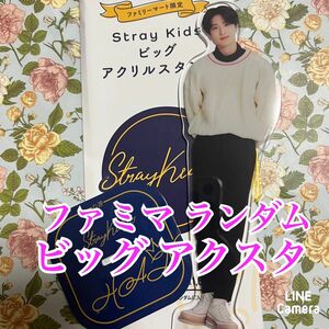 Stray Kids ファミマ コラボ ランダム ビッグアクスタ ハン ジソン