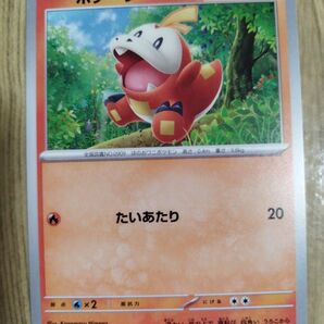 ポケモンカード ホゲータ