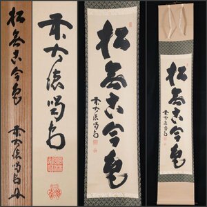 【模写】吉】8938 細合喝堂 書「松無古今色」 共箱 臨済宗 大徳寺 龍源院前住職 仏教 茶掛け 茶道具 禅語 掛軸 掛け軸 骨董品