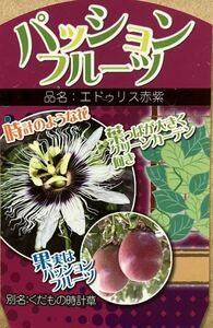 パッションフルーツ 赤紫実 苗3株