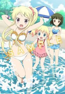 きんいろモザイク BD/DVD ソフマップ全巻購入特典 忍&アリス&カレン B3 タペストリー