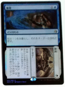 ＭTG日本語/Foil/腹背面従/アモンケット/レア