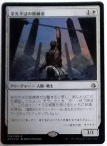 ＭTG日本語/Foil/栄光半ばの修練者/アモンケット/レア