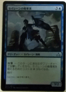 ＭTG日本語/Foil/セイレーンの略奪者/イクサランの相克/アンコモン