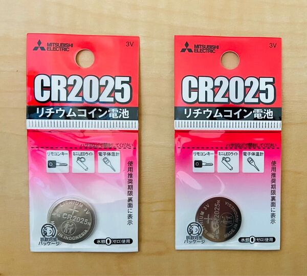 2個セット 交換用電池 スマートキー 車 カメラ リモコン キー 鍵