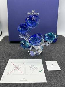 SWAROVSKI スワロフスキー 魚の群れ 5匹 ブルー ターコイズ 海 ギフト 置物 クリスタルガラス インテリア プレゼント クリスタル