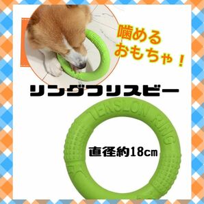 犬用　フリスビー　グリーン　噛めるおもちゃ　ストレス発散　運動　スキンシップ　運動不足解消　犬