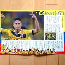 Sports Graphic Number 臨時増刊号 World Cup Brazil 2014 Special Issue ④ 8強激突 Footboal Fantas これが世界のサッカーだ。2014年7/15_画像9