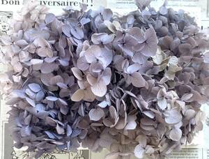  preserved flower hole bell hydrangea 20g rom and rear (before and after) purple gradation 