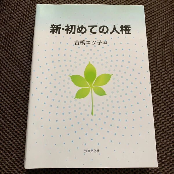 新・初めての人権 古橋エツ子／編　藤井徳行／〔ほか執筆〕