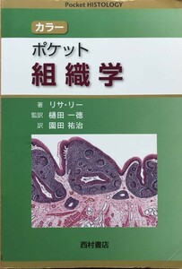 91　カラー　ポケット　組織学