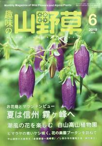 427　趣味の山野草 2019年6 月号　夏は信州　霧ヶ峰へ