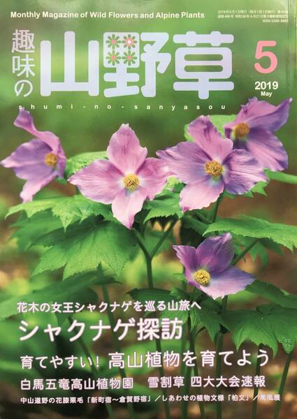 348 　趣味の山野草 2019年 5月号　シャクナゲ探訪