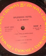 AL DI MEOLA Splendido Hotel 2枚組 美盤_画像6