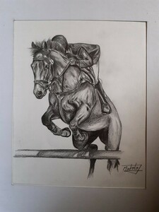  pencil sketch obstacle horsemanship 