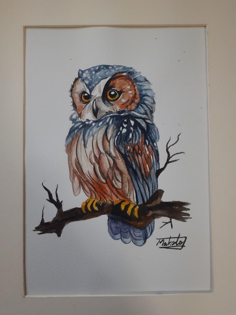 Watercolor owl, Painting, watercolor, Animal paintings