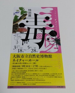 【半券/使用済み】大阪市立自然史博物館 特別展「毒」 　 半券 　チケット　1枚 