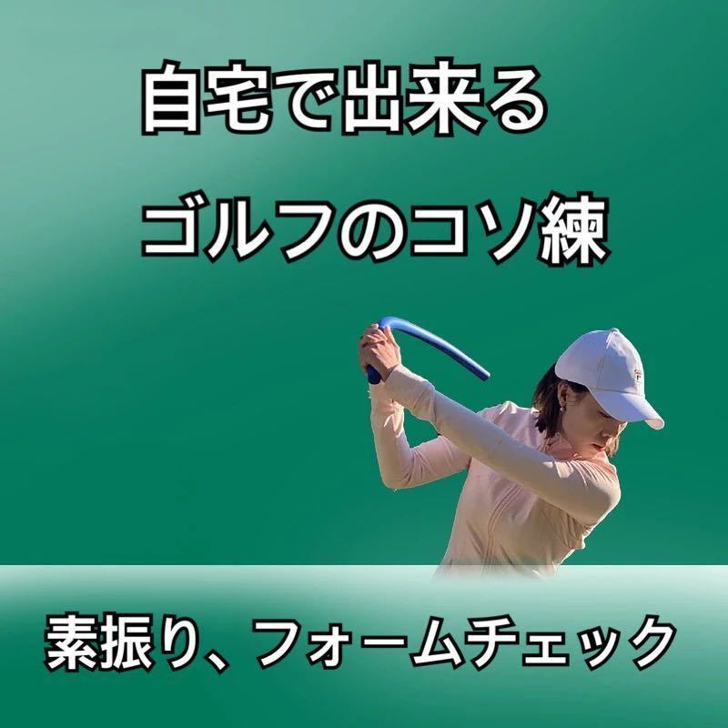 ふるさと納税 3D Swing 大特価!! 3Dスイングメンター Mentor - 人気