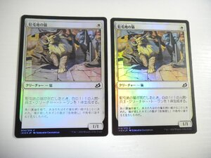 D130【MTG】駐屯地の猫 Foil 2枚セット 即決