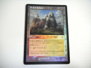 D179【MTG】断崖の避難所 旧枠 Foil 即決