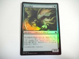 D283【MTG】巣の侵略者 Foil 即決